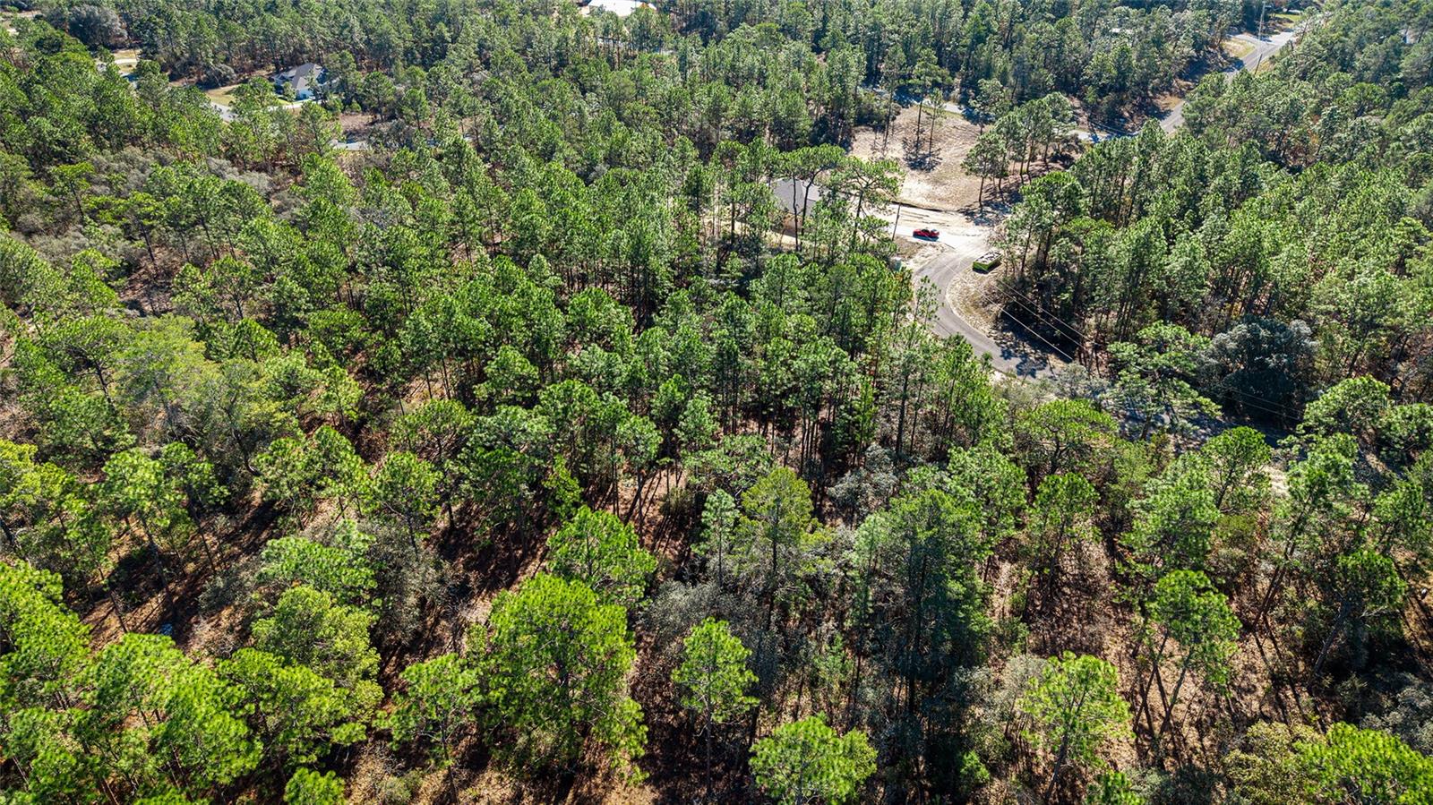 CITRUS SPGS UNIT 10 - Land