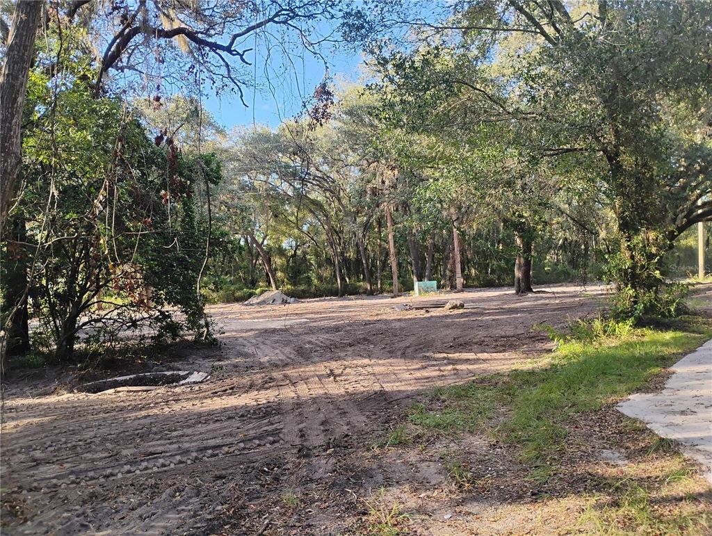 Photo of 7626 SE 183rd Avenue Road, Ocklawaha, FL 32179 (MLS # OM711788)