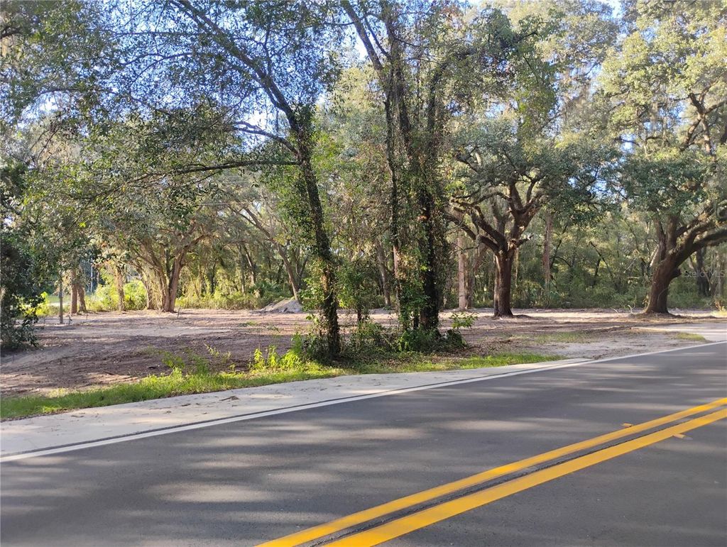 Photo of 7626 SE 183rd Avenue Road, Ocklawaha, FL 32179 (MLS # OM711788)