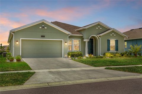 5220 RED CORAL CIRCLE MOUNT DORA FL 32757