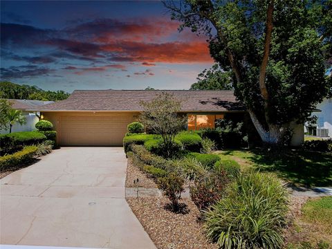 810 ANCHORAGE LANE PALM HARBOR FL 34685
