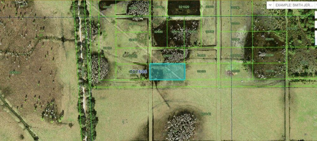 Photo of Van Fleet Road, Polk City, FL 33868 (MLS # O6227945)