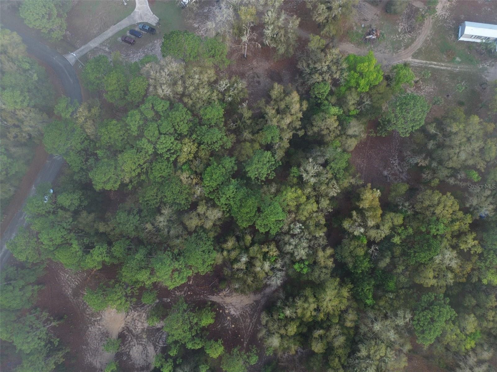 PINE OAK ESTATES REV - Land