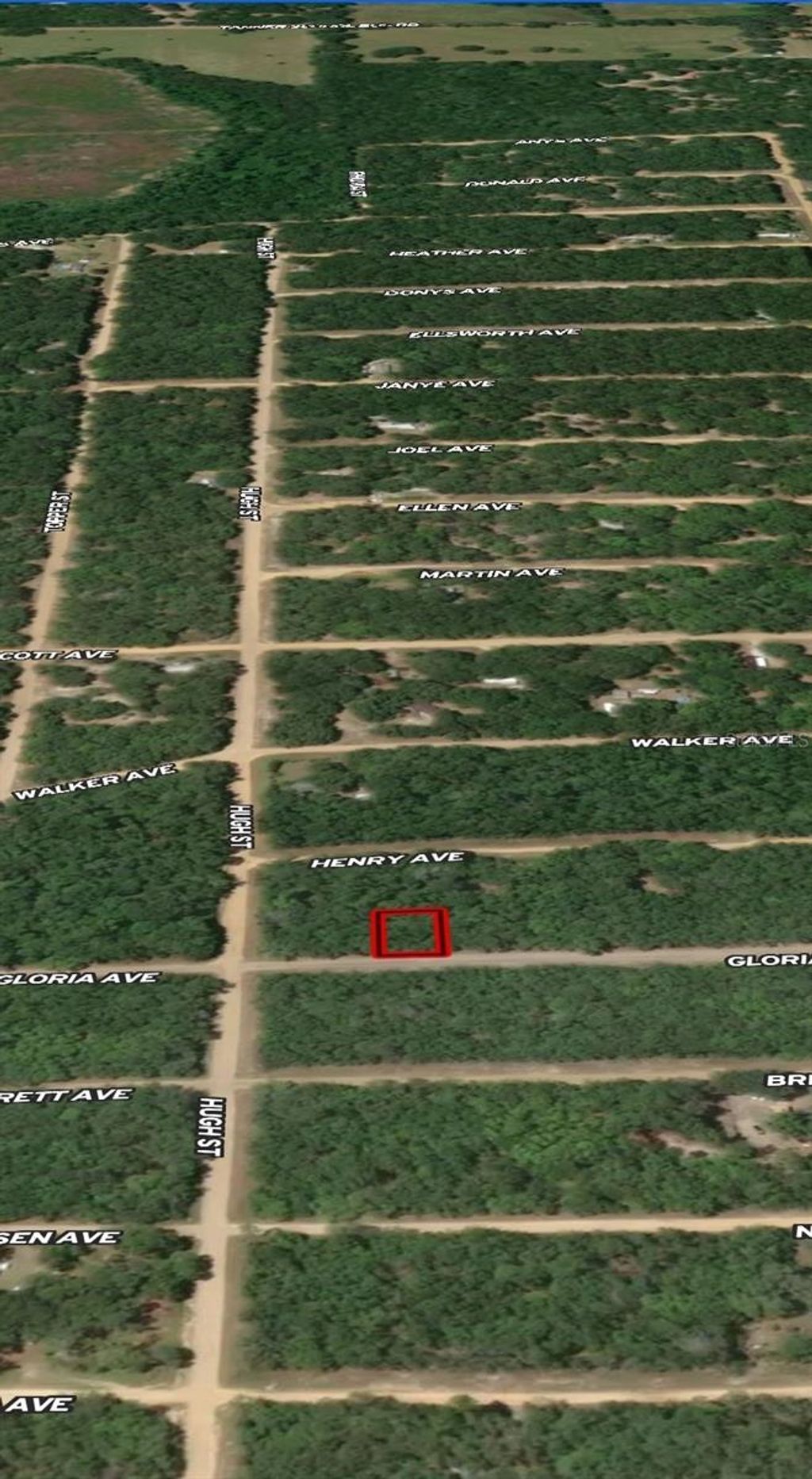 Photo of 20 Gloria Avenue, Interlachen, FL 32148 (MLS # OM710361)