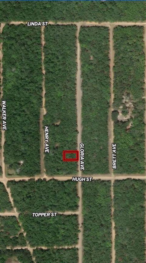 LOT 20 GLORIA AVENUE INTERLACHEN FL 32148
