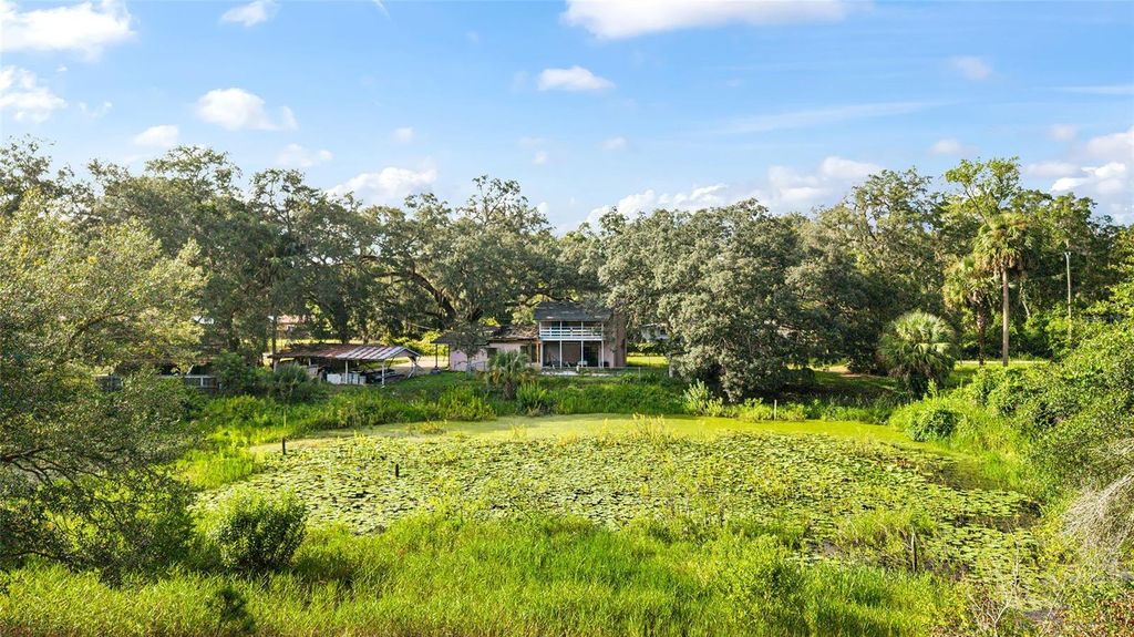 Photo of 18631 SE 106th Place, Ocklawaha, FL 32179 (MLS # W7877658)