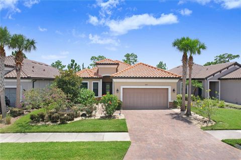 8605 GRAND ALBERATO ROAD TAMPA FL 33647