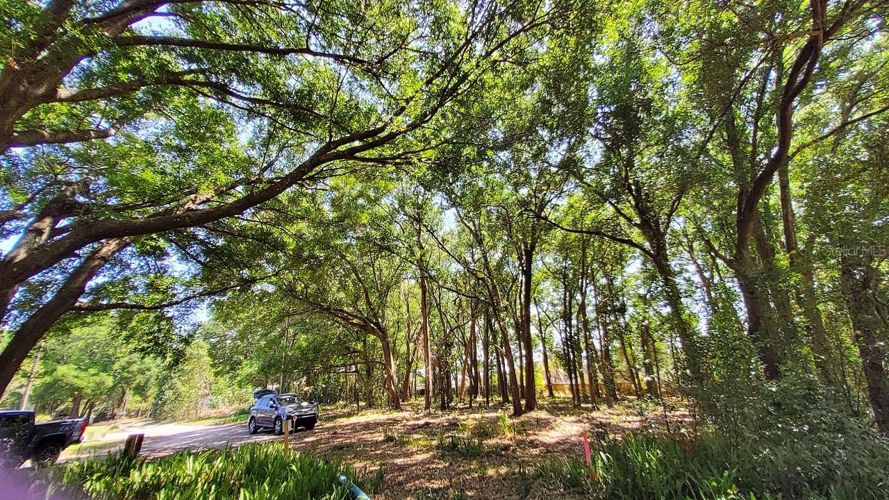 MT PLYMOUTH FIFTH ADD - Land