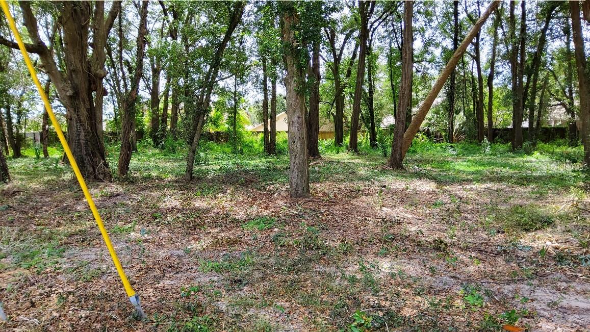 25050 ALGONQUIN AVENUE