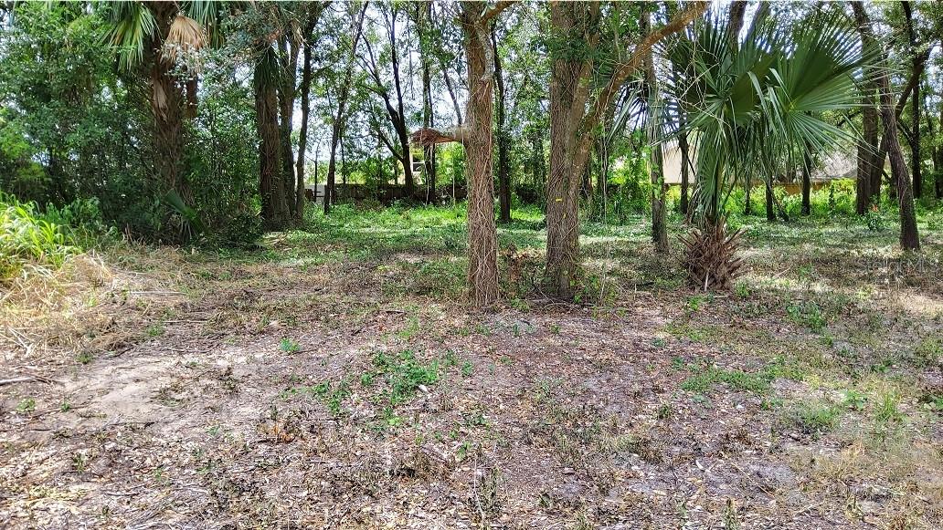 Nice large lot in a very quiet neighborhood in the charming historic golf cart community of Mount Plymouth, 150 ft wide lot with ample room for 2 large houses. Fenced in on 2 sides with a 6 ft fence, and a 25 ft unused adjacent easement. Over 18,000 sq ft, almost ½ acre (0.43). Build 2 homes, live in 1 and rent the other. Clear Title. Perfect for a large family or seniors who enjoy quiet living with mature Laurel Oak tree canopy shielding your home from the hot sun. Not right next to any busy highways, very peaceful non thru street area, and not in a flood zone as it is higher than adjacent developments. Electric, internet phone and cable on site. Well and septic required. See survey and sketch for 2 homes. No HOA to annoy you, find your builder and see your dream home take shape. Zoned R-6, with no neighbors on either side. Shopping at the nearby Publix on Kelly Park Road or the IGA a mile away on 435. The new, upcoming Wyld Oaks development with a host of restaurants, shopping, entertainment, hotels, parks, and more is under construction only 4 miles away. There are several builders in the Mt Plymouth area that will build your dream home on this large lot, most starting in the $300’s. A number of larger employers in the general area are; GOYA, COCA COLA, ADVENT HEALTH, FINFRACK, NORTHRUP GRUMMAN, MITSUBISHI, CENTRAL SQUARE, VERIZON, LIBERTY MUTUAL, COSTA FARMS, DUKE ENERGY. Peaceful and quiet. Close to Troon and Adair. Half mile to CR 435 and 2 miles to Sorrento Ave (SR46). Sanford to the East and Mount Dora to the West. Easy access to a ton of nearby adventures, including, Kelly Park, Wekiva Springs, Rock Springs State Reserve, Palm Island Park and a host of hiking, horse riding, kayaking and relaxing. Orlando and all the Theme parks and airport an hour away.