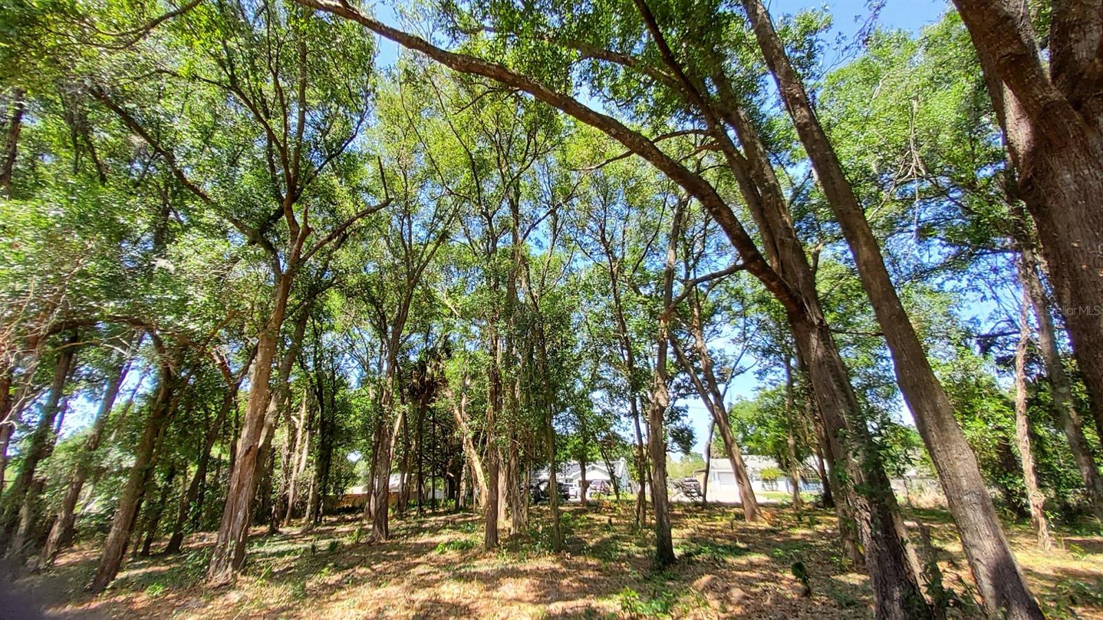 MT PLYMOUTH FIFTH ADD - Land