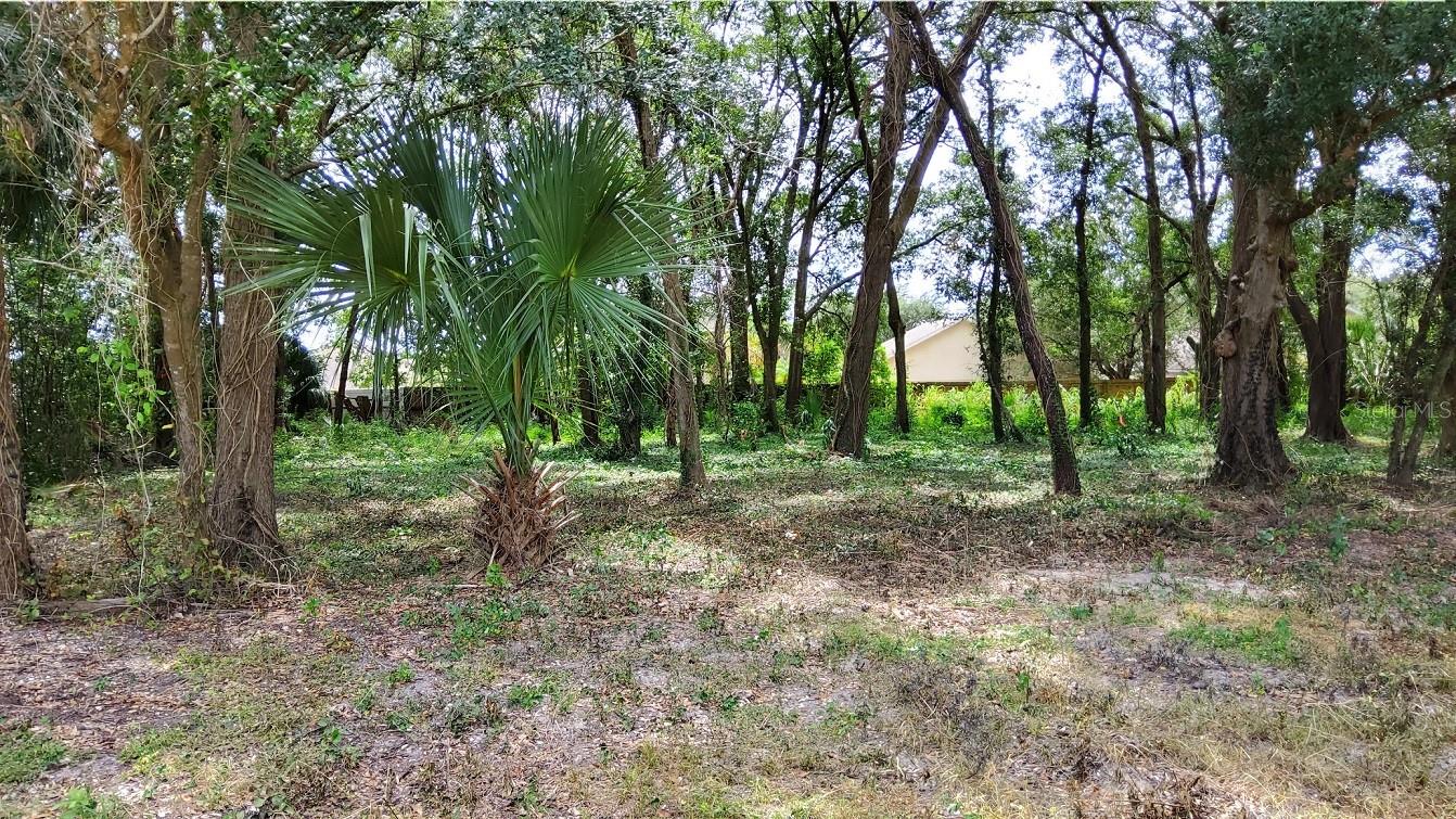 25050 ALGONQUIN AVENUE