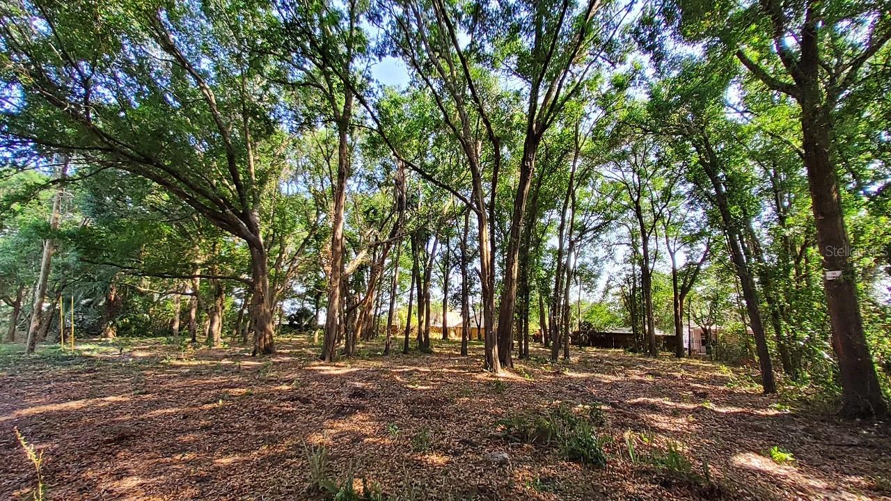 25050 ALGONQUIN AVENUE