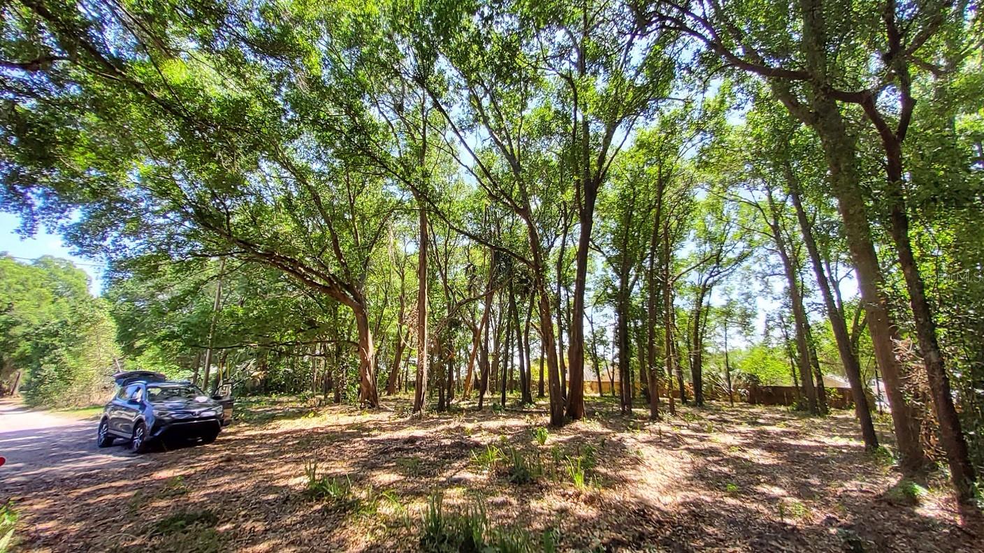 MT PLYMOUTH FIFTH ADD - Land