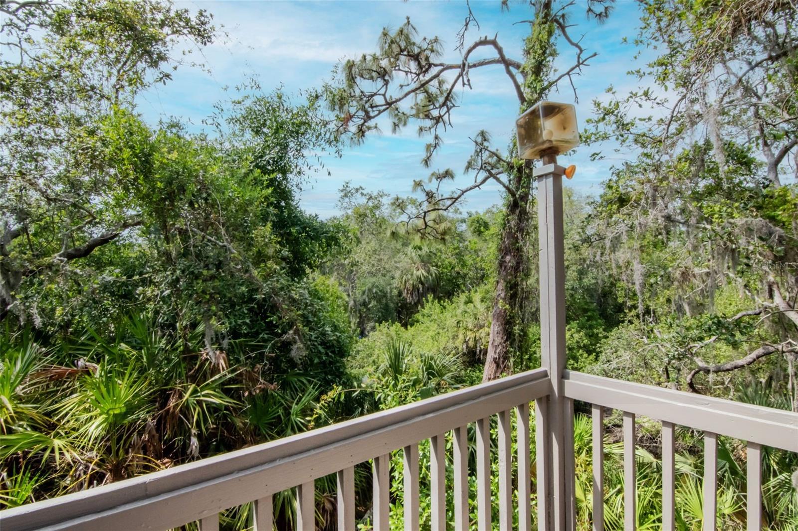 WEYBRIDGE WOODS - Residential