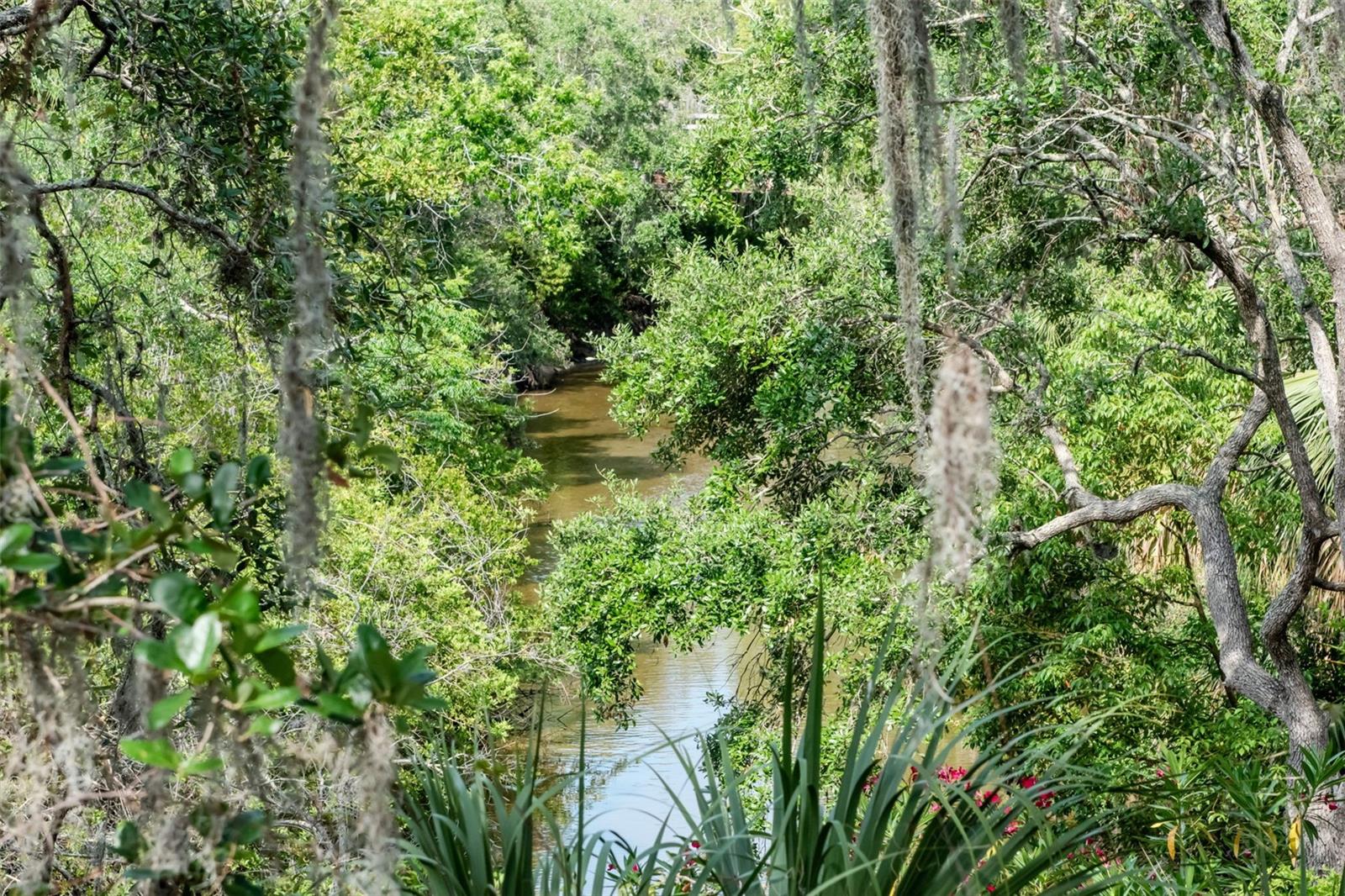 WEYBRIDGE WOODS - Residential