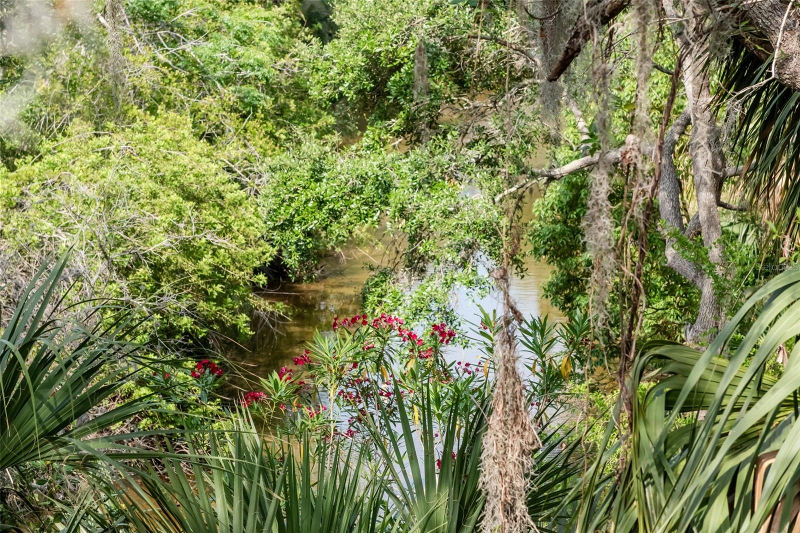 WEYBRIDGE WOODS - Residential
