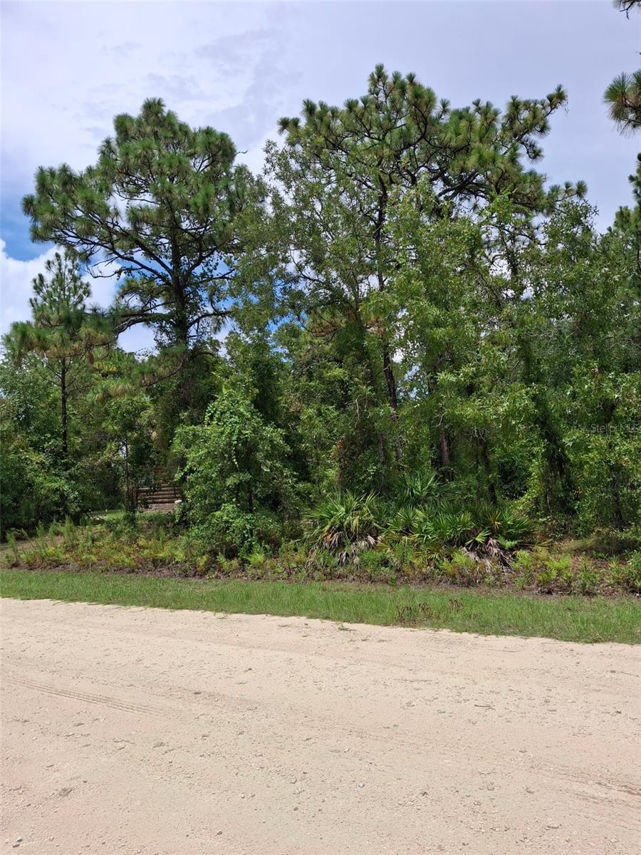 16026 SHELDRAKE LOOP