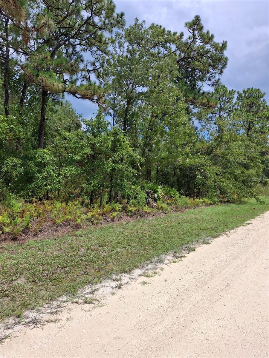 16026 SHELDRAKE LOOP