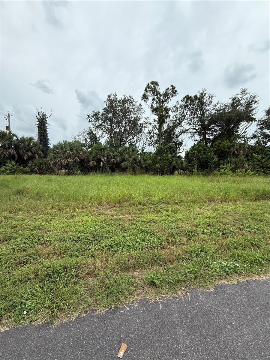 Rare Opportunity Near the Coast!
This unique street-to-street parcel offers endless potential just minutes from the beach, local restaurants, and shopping. With 118 feet of road frontage and 164 feet of depth, the property stretches from Andrews Street to North Lane, providing versatile building options.
Design your dream home with the flexibility to place your residence on either road and enjoy a pool and garage on the opposite side, or simply maintain the natural wooded backdrop for privacy.
Don’t miss out on this exceptional parcel at an incredible value—opportunities like this are rare!