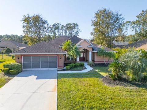 A home in PALM COAST