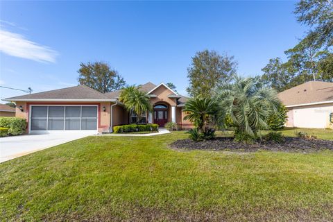 A home in PALM COAST