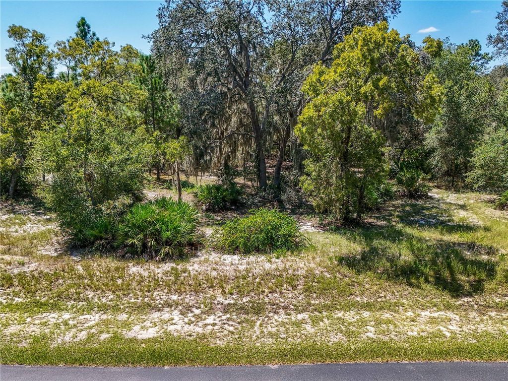 Photo of 3134 Bright Lake Circle, Leesburg, FL 34748 (MLS # G5102838)