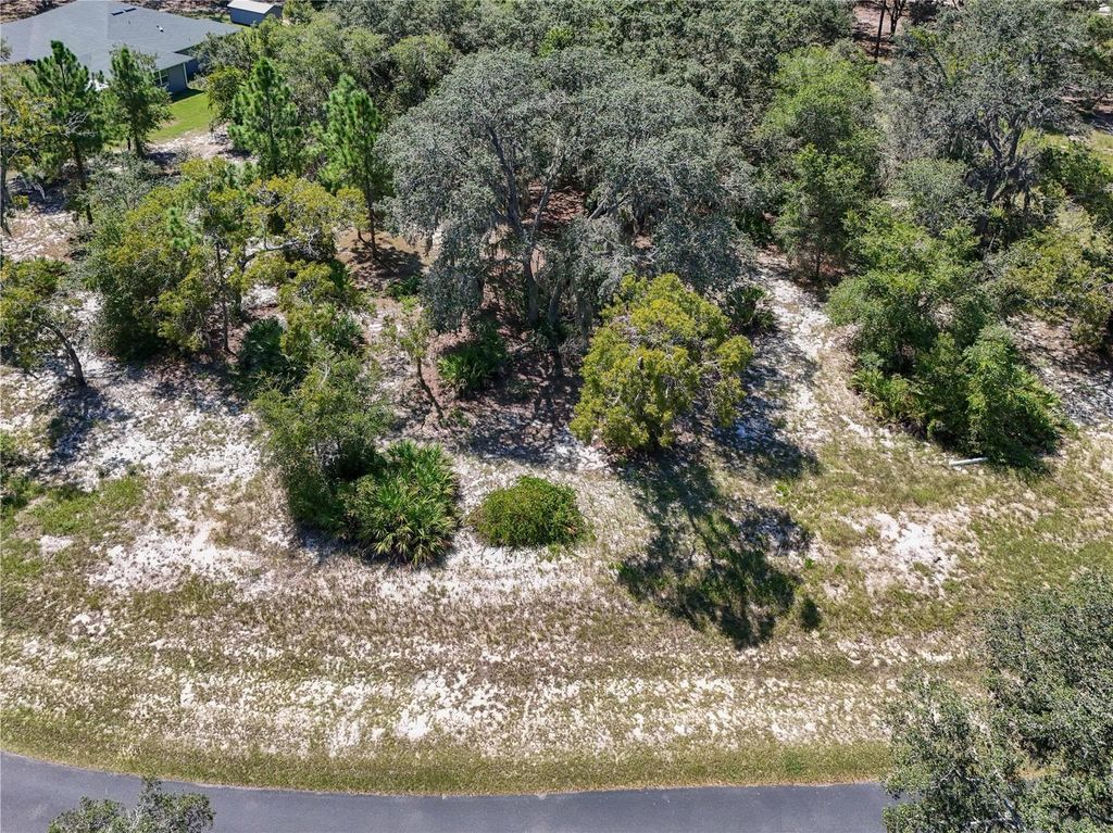Photo of 3134 Bright Lake Circle, Leesburg, FL 34748 (MLS # G5102838)