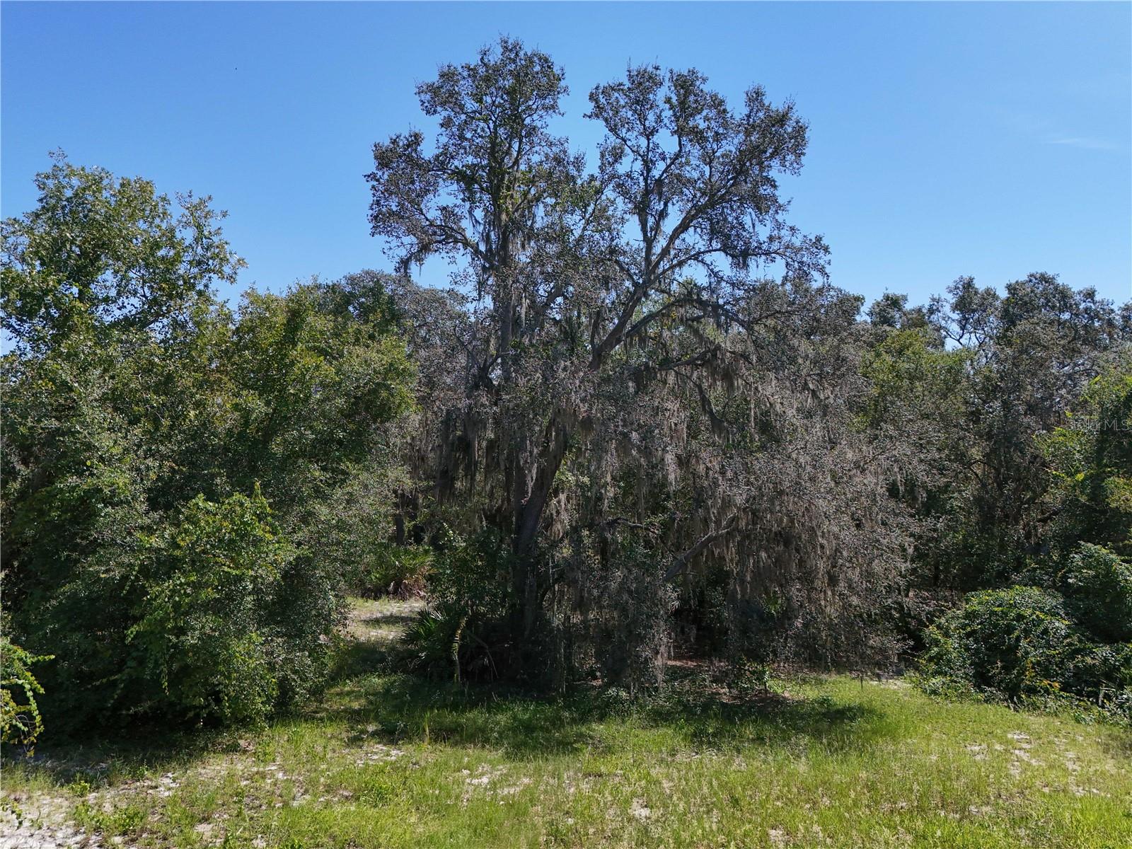 CLEARWATER RESERVE PHASE 2 - Land