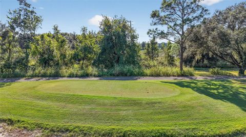 Tiny photo for 9330 San Jose Boulevard, Howey In The Hills, FL 34737 (MLS # G5104240)