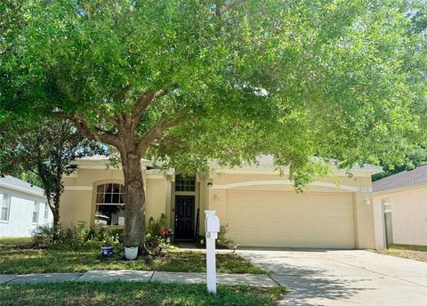 Photo of 12936 Turnstone Court, Hudson, FL 34669 (MLS # O6396783)