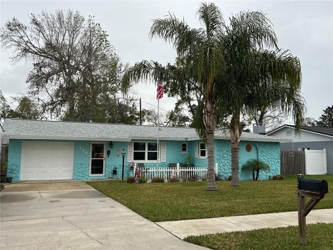 A home in SOUTH DAYTONA