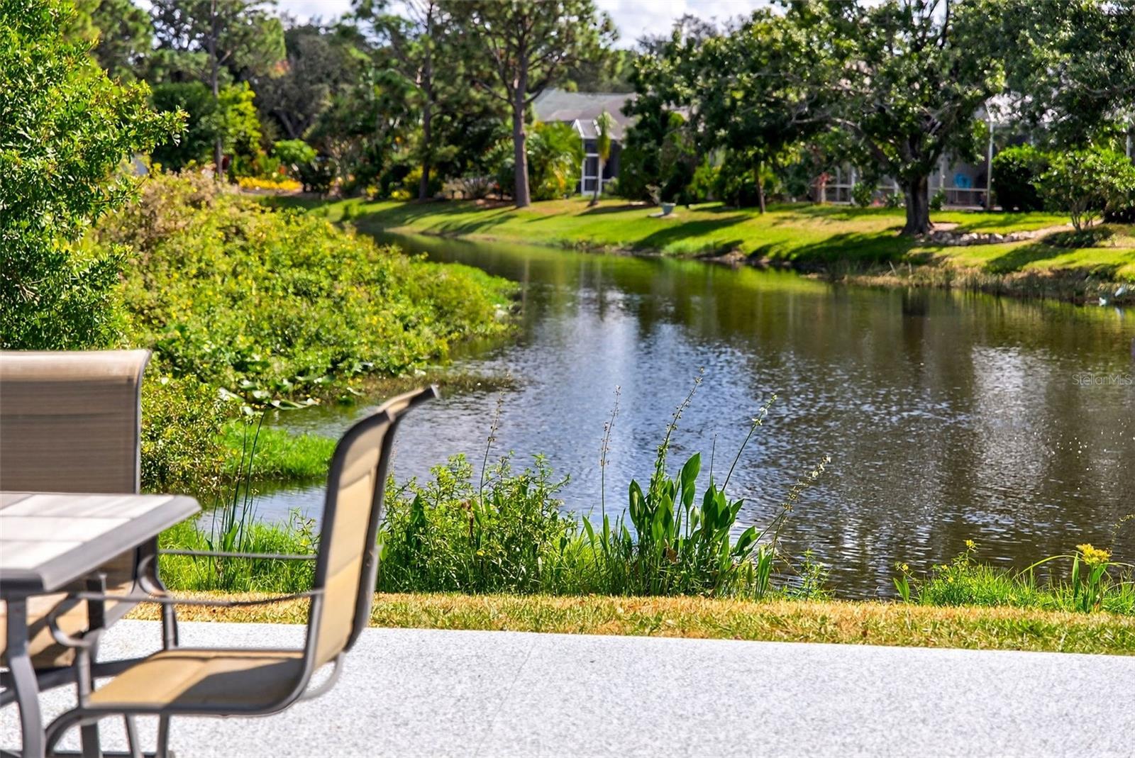 CARLYLE AT VILLAGES OF PALM-AIRE - Residential