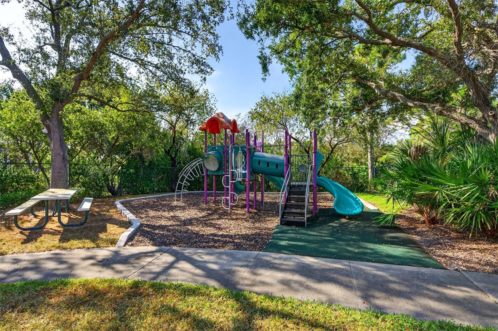 CARLYLE AT VILLAGES OF PALM-AIRE - Residential