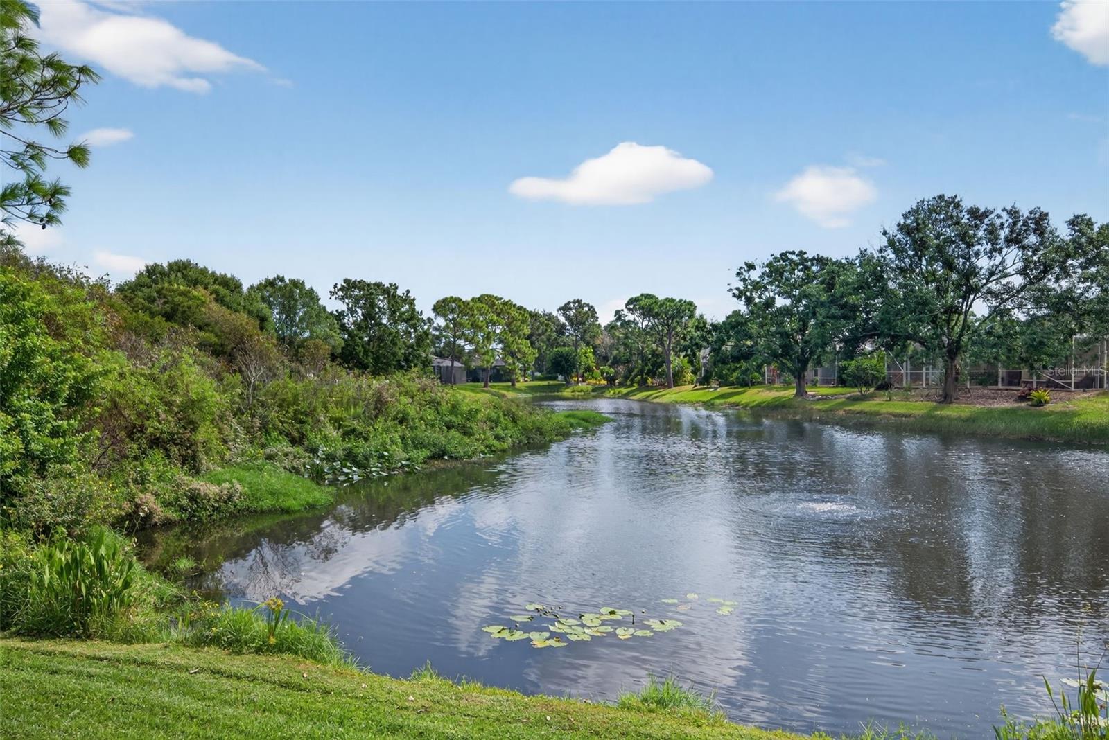 CARLYLE AT VILLAGES OF PALM-AIRE - Residential