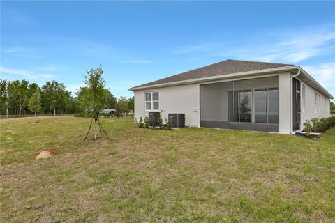 Tiny photo for 3637 Sublett Loop, Tavares, FL 32778 (MLS # S5152161)