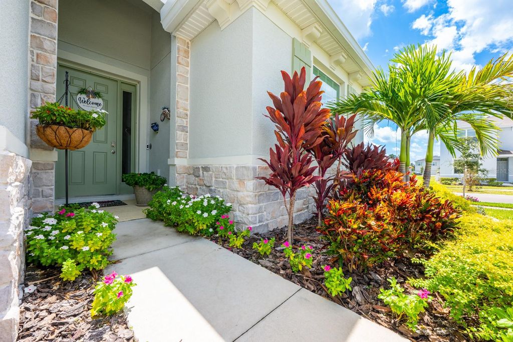 Photo of 5518 Birch River Trail, Wesley Chapel, FL 33545 (MLS # TB8414339)