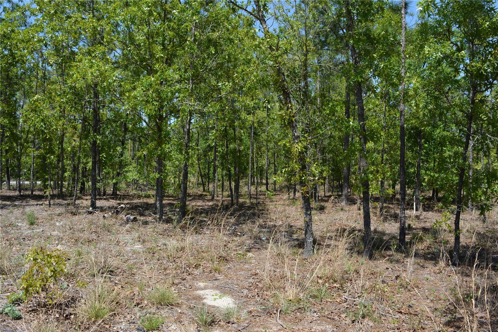 HIGH SPGS HILLS SUB - Residential