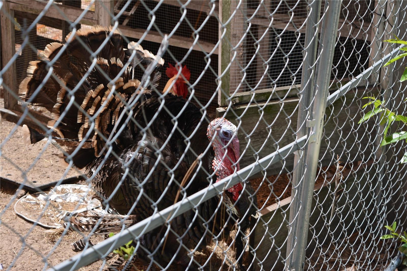 HIGH SPGS HILLS SUB - Residential