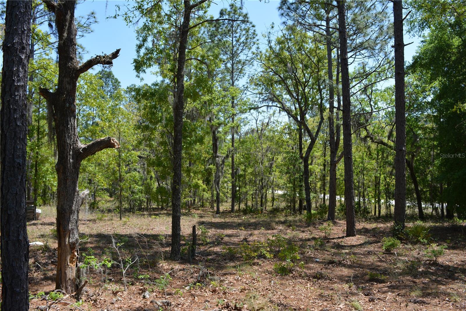 HIGH SPGS HILLS SUB - Residential