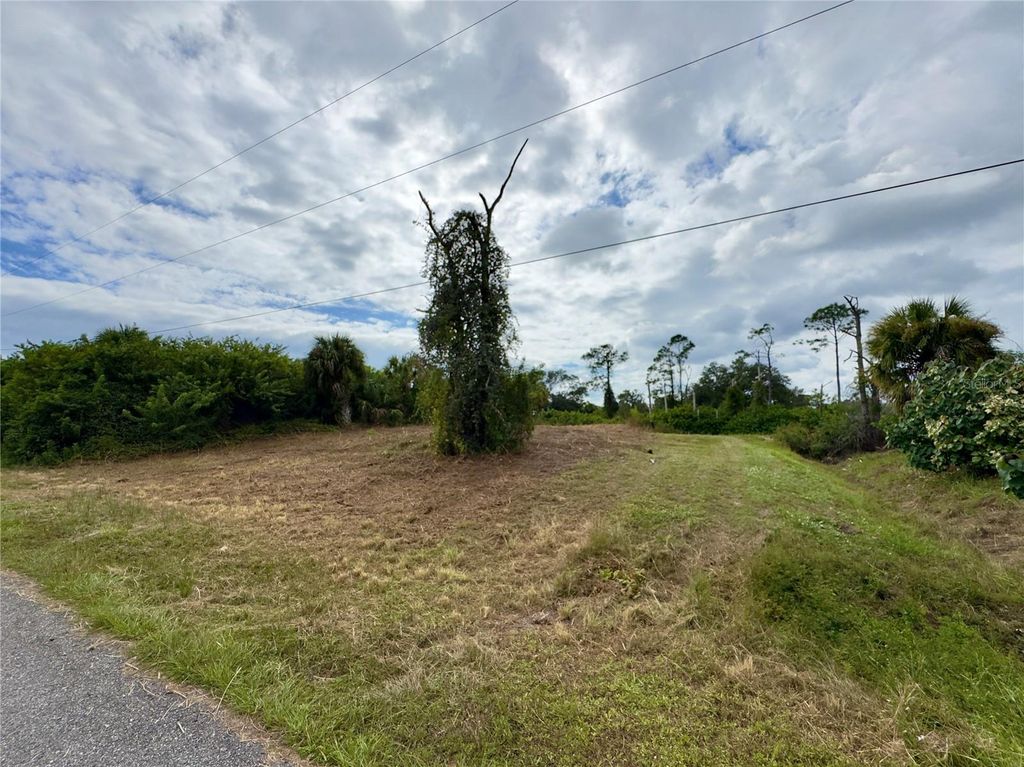 Photo of 28 Florala Street, North Port, FL 34287 (MLS # C7516154)