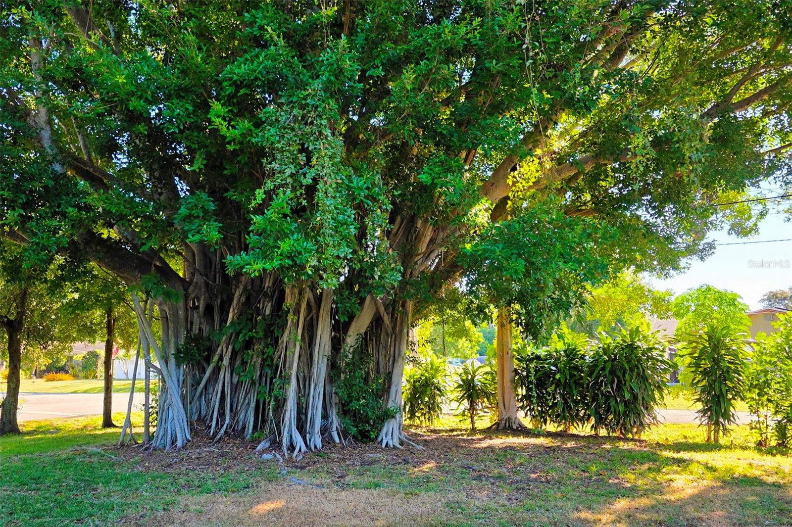 SARASOTA SPGS - Residential