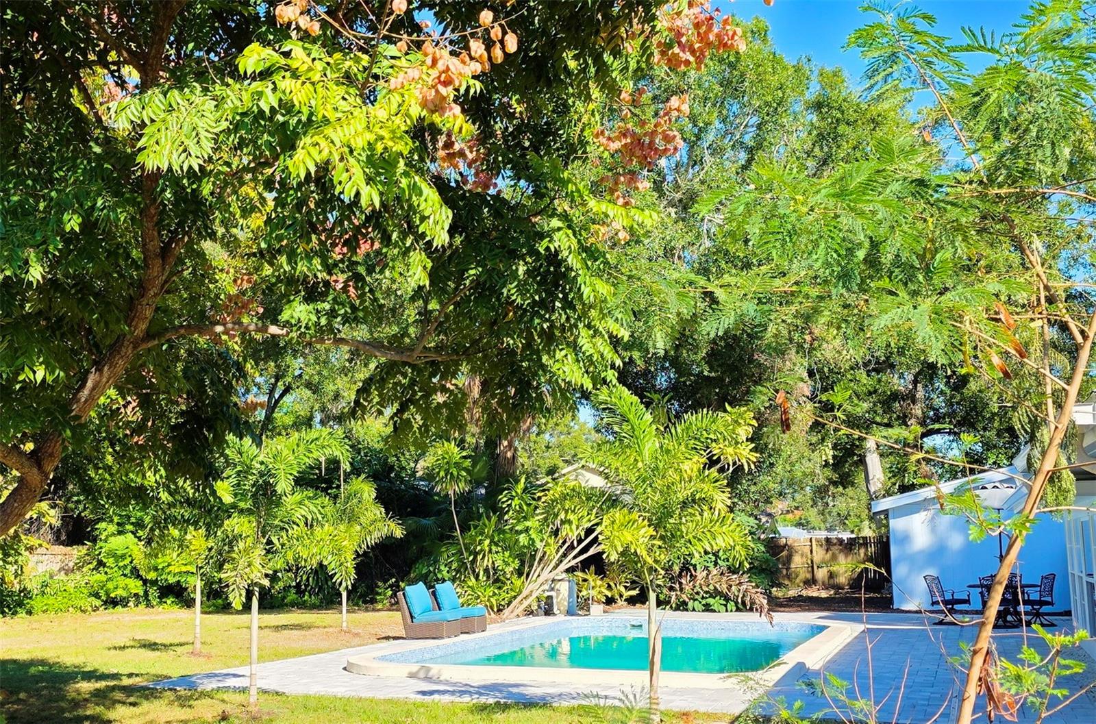 SARASOTA SPGS - Residential