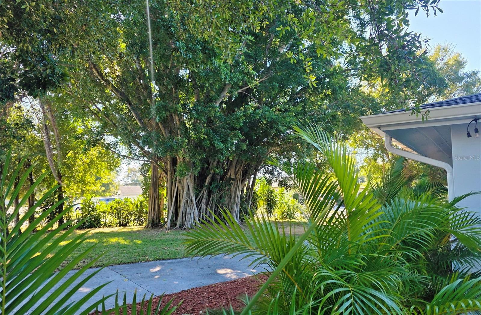 SARASOTA SPGS - Residential