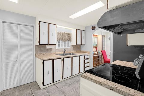 Tiny photo for 2475 Karen Drive, Mount Dora, FL 32757 (MLS # O6395554)