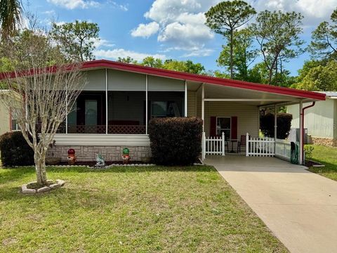 Tiny photo for 2475 Karen Drive, Mount Dora, FL 32757 (MLS # O6395554)