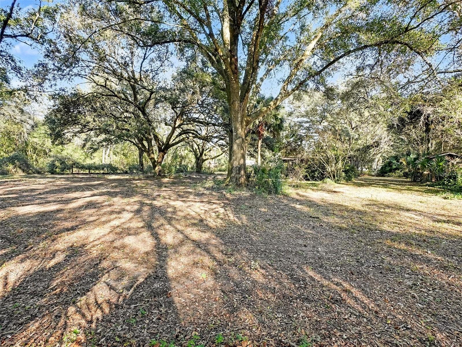 MAGNOLIA OAKS - Residential