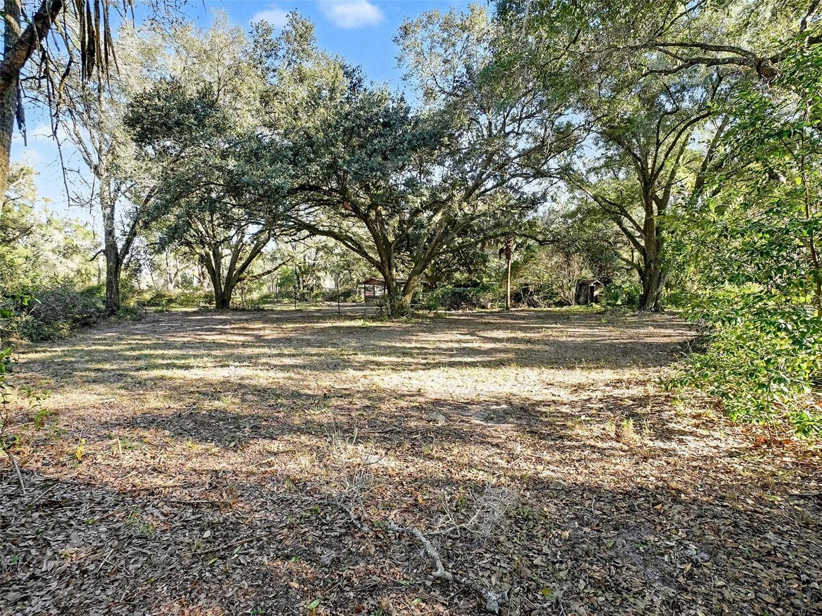 MAGNOLIA OAKS - Residential