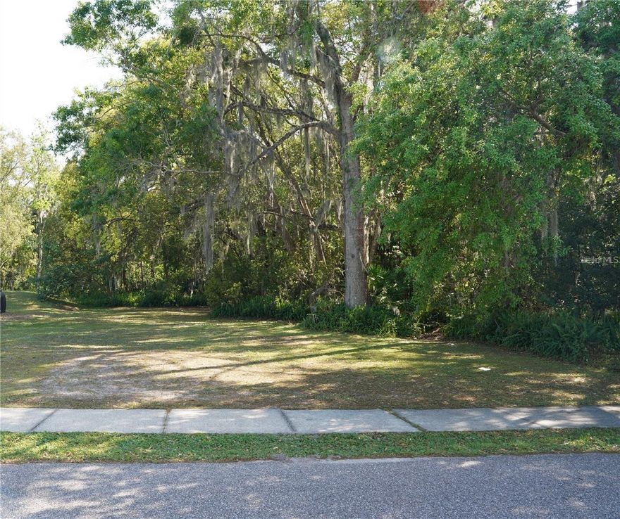 BIG BONUS 2ND LOT AVAILABLE CALL FOR DETAILS   Drive by lot-Lot has been cleared and grassed yard from Bryd back approximately 100 ft then wooded to back of lot. 2nd attached lot at back of property to 46 road front also available, is wooded would require clearing lots are 50 x 240.  Front lot is lot 13 and back lot is lot 38.  Special program available for 2nd lot, call!