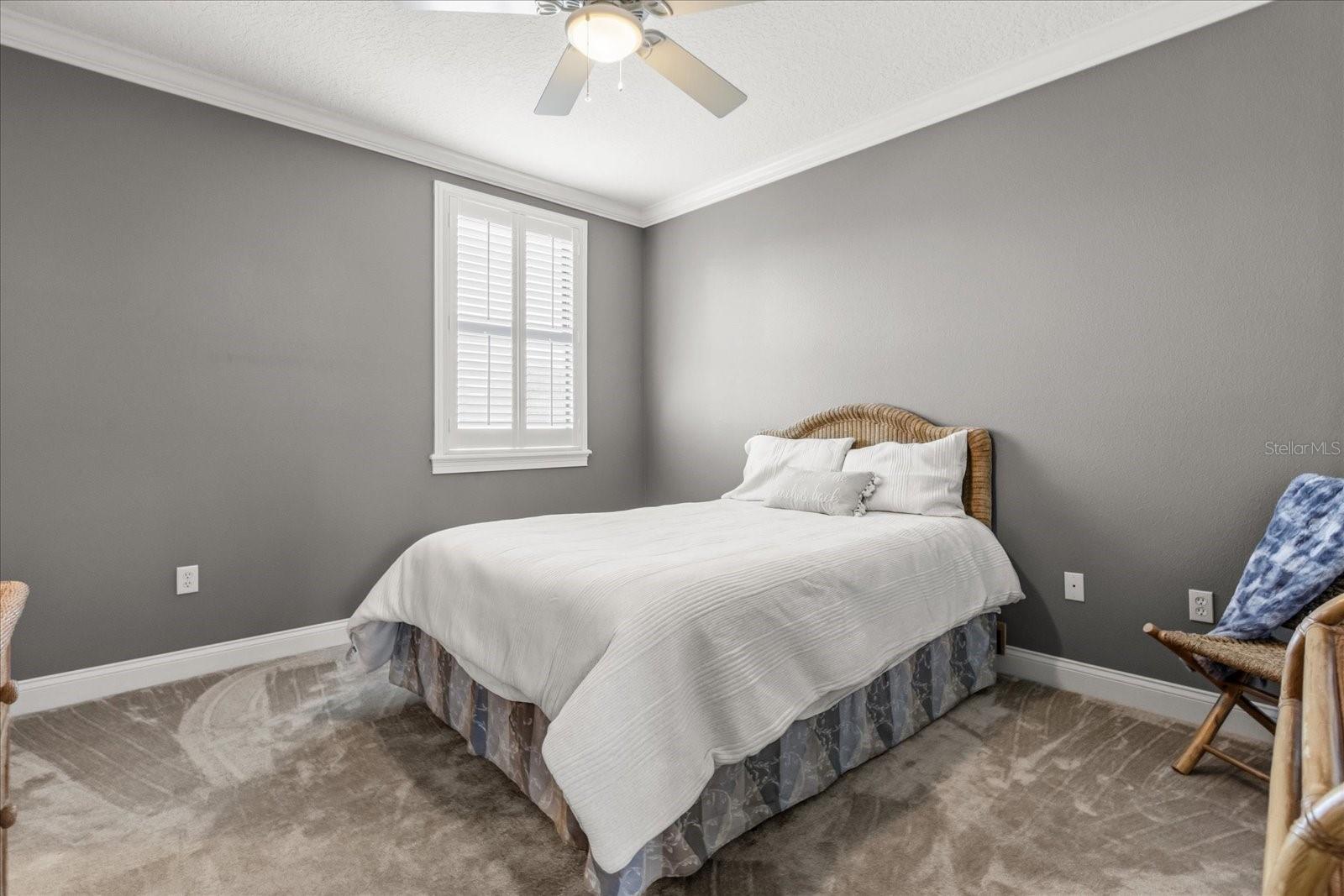 ELLINGTON ESTATES - Residential